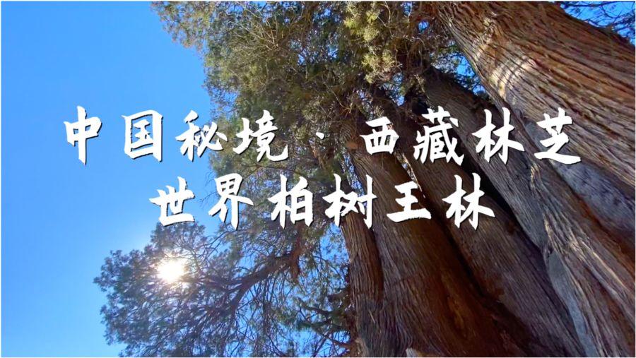 大叔钓鱼