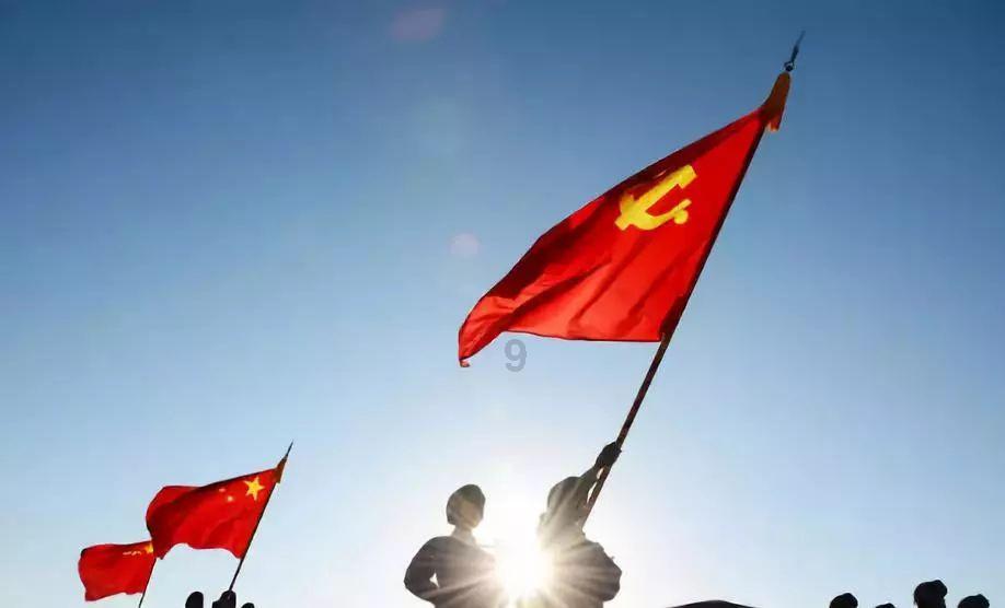 黄色的绒毛摸上去怎么样游戏画面