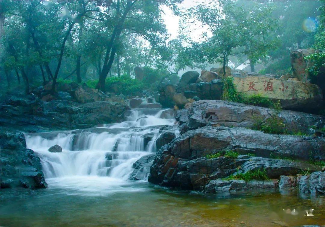蝙蝠侠：阿甘骑士