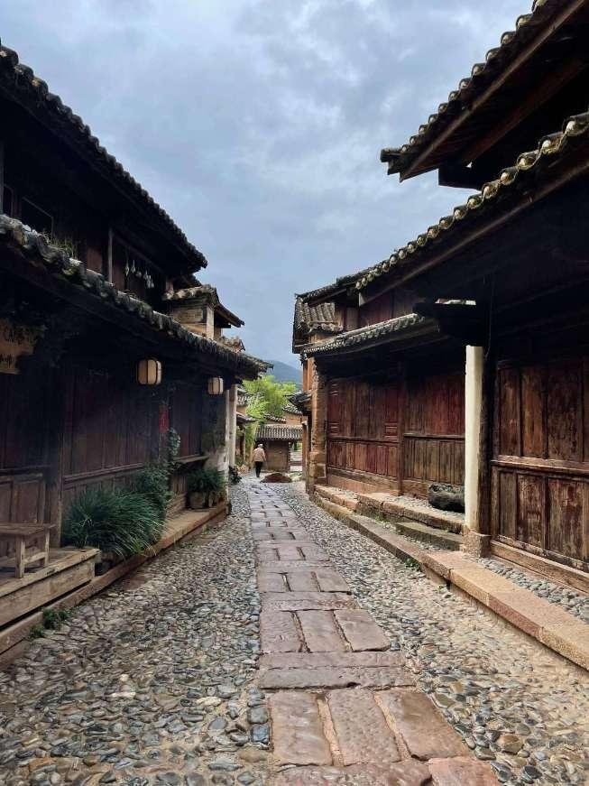 飞天小猪仔