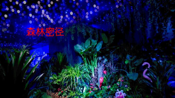 逃离空的老房子