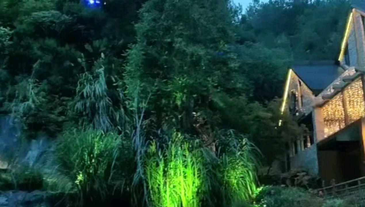 “非洲之王”传音年终奖多发 30%:2023 年全球智能手机出货量第五,利润增超 120%